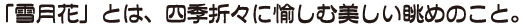 ワッフルE組見本（フォント見本）