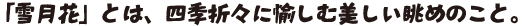 ハンディックH組見本(フォント見本)