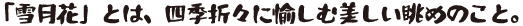 うんすい組見本(フォント見本)