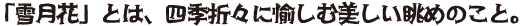 セルフィッシュ組見本(フォント見本)