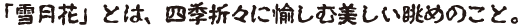 おぼろ組見本(フォント見本)