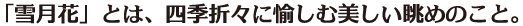 ミンニアムNexus E組見本（フォント見本）