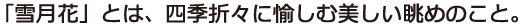 ユニバーサルライン_DSP_D組見本（フォント見本）