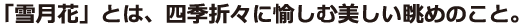 ユニバーサルライン_DSP_E組見本（フォント見本）