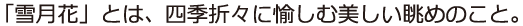 ユニバーサルライン_DSP_R組見本（フォント見本）
