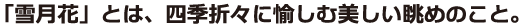 ユニバーサルライン_LG_E組見本（フォント見本）