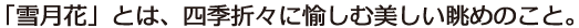 スクエアD組見本（フォント見本）